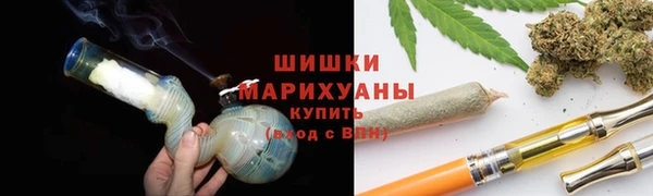 прущие грибы Волоколамск