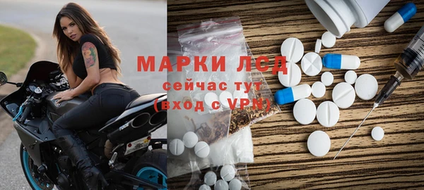 прущие грибы Волоколамск