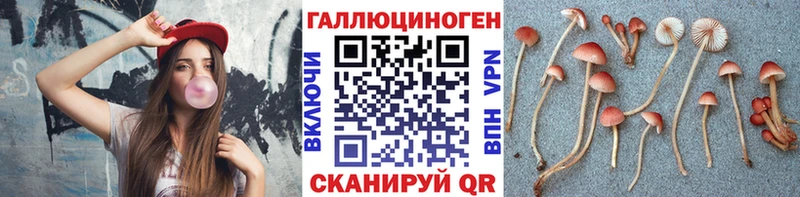 купить   Калач  Галлюциногенные грибы мухоморы 